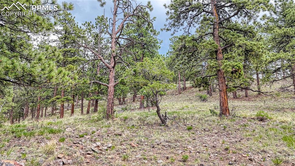 44 Honeysuckle Terrace Westcliffe CO 81252