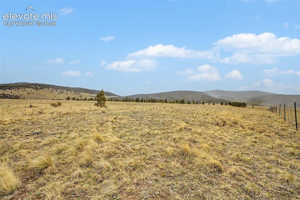 Tbd Ranger Station Road Florissant CO 80846