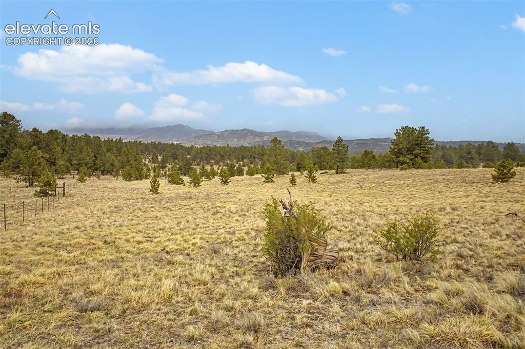 Tbd Ranger Station Road Florissant CO 80846
