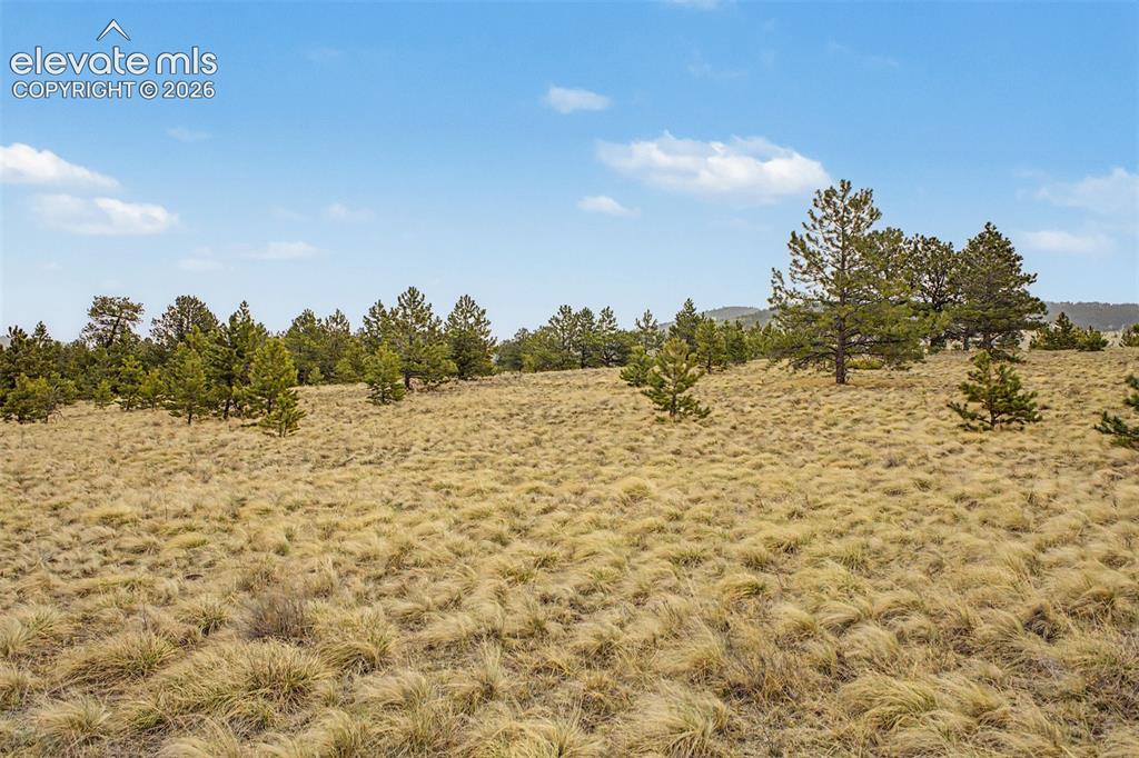 Tbd Ranger Station Road Florissant CO 80846