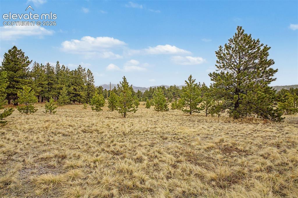 Tbd Ranger Station Road Florissant CO 80846