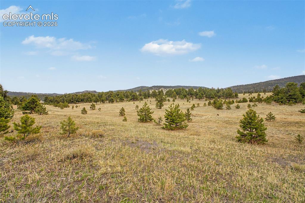 Tbd Ranger Station Road Florissant CO 80846