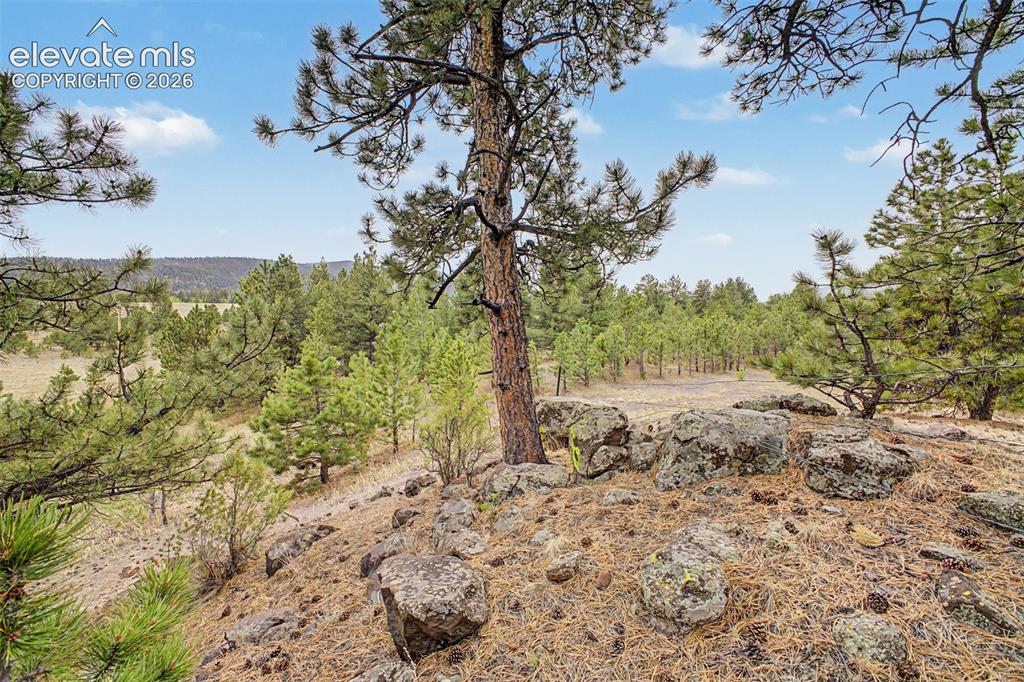 Tbd Ranger Station Road Florissant CO 80846