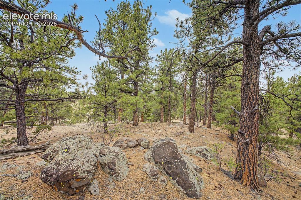 Tbd Ranger Station Road Florissant CO 80846