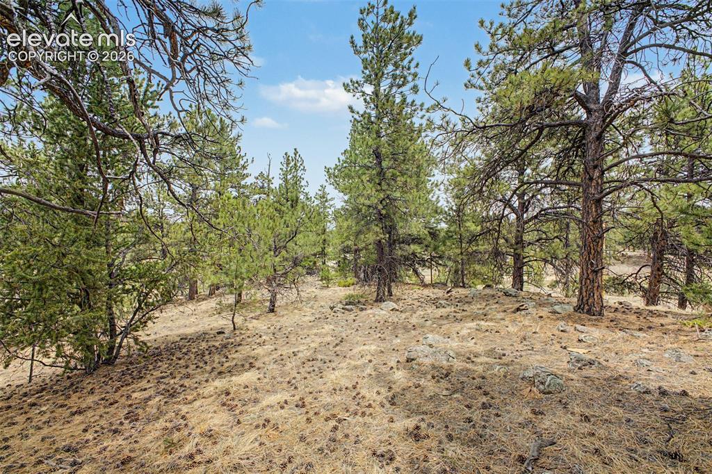 Tbd Ranger Station Road Florissant CO 80846