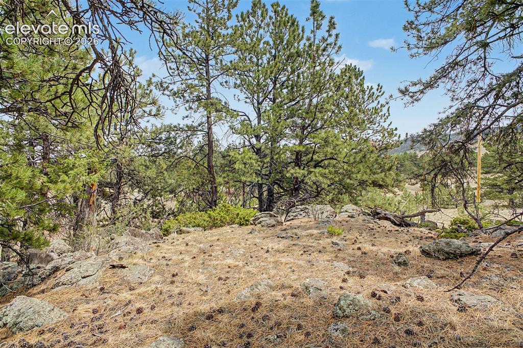 Tbd Ranger Station Road Florissant CO 80846
