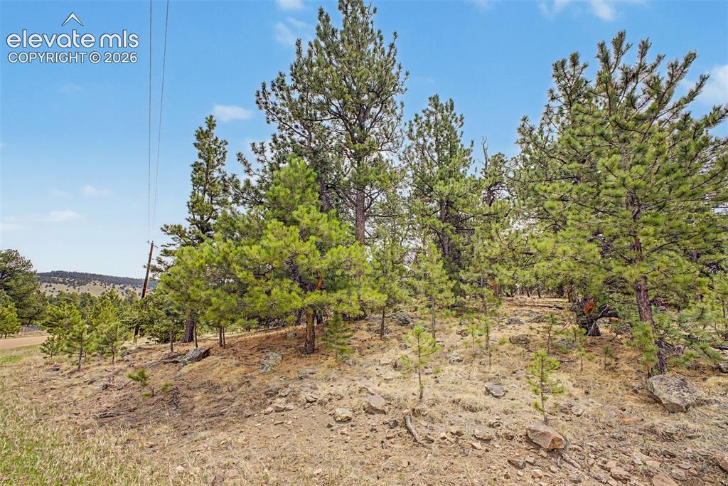 Tbd Ranger Station Road Florissant CO 80846