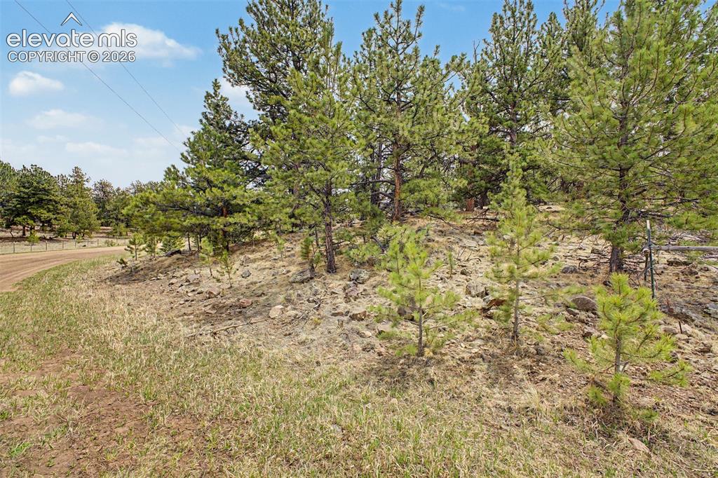 Tbd Ranger Station Road Florissant CO 80846