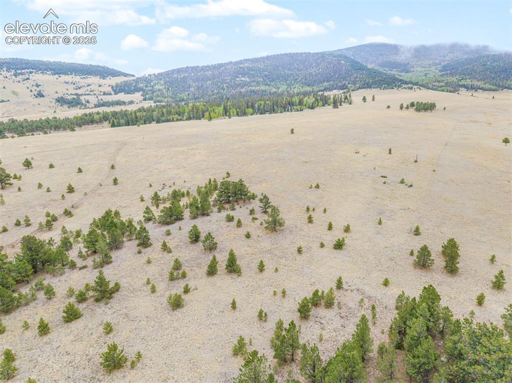 Tbd Ranger Station Road Florissant CO 80846