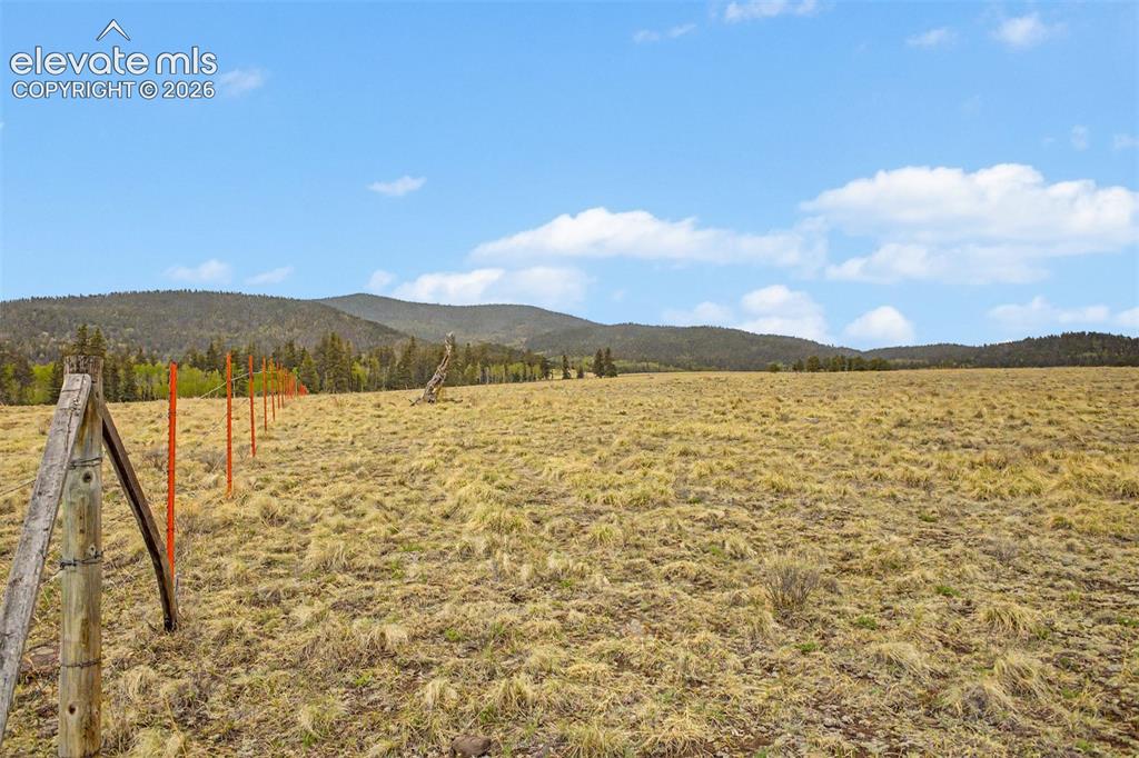 Tbd Ranger Station Road Florissant CO 80846