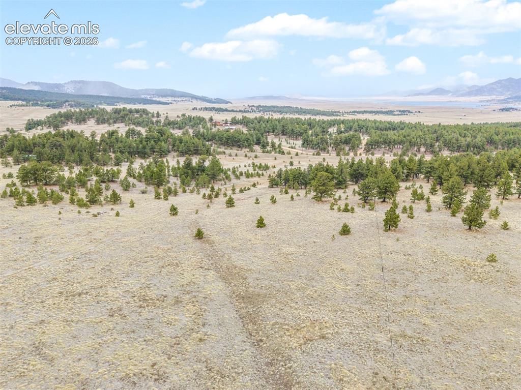 Tbd Ranger Station Road Florissant CO 80846