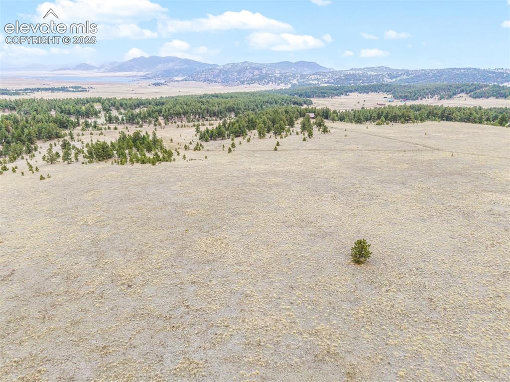 Tbd Ranger Station Road Florissant CO 80846