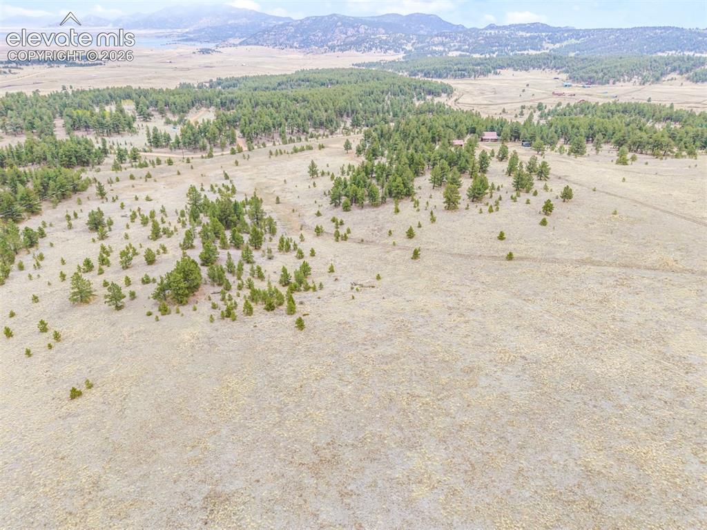 Tbd Ranger Station Road Florissant CO 80846