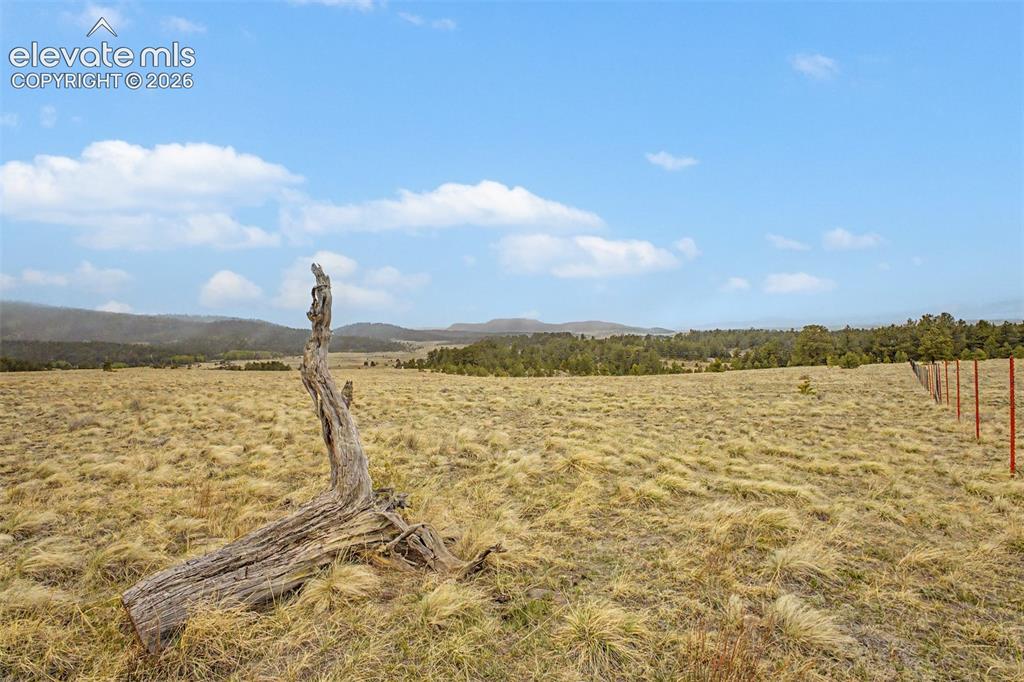 Tbd Ranger Station Road Florissant CO 80846