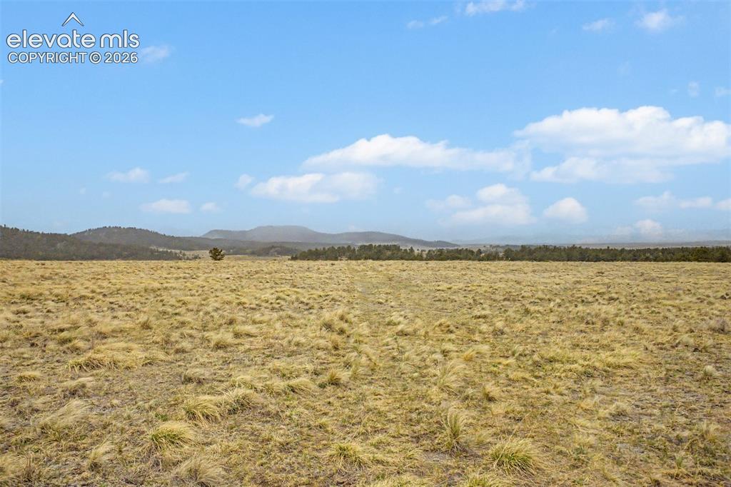 Tbd Ranger Station Road Florissant CO 80846