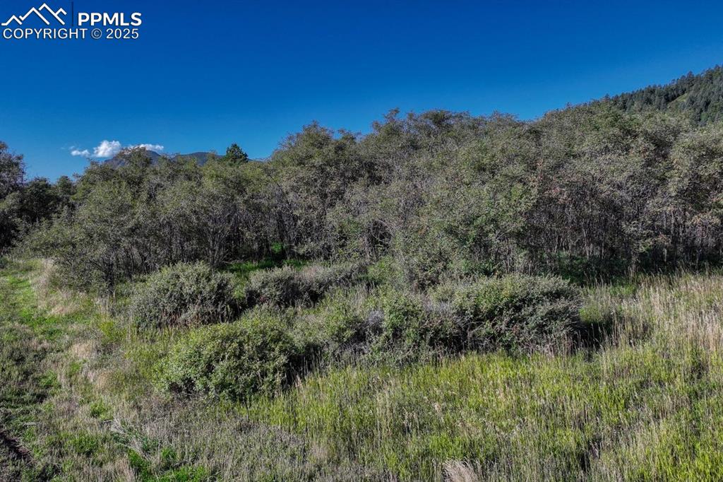 15989 S Perry Park Road Larkspur CO 80118
