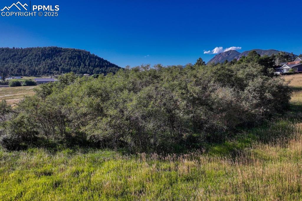 15989 S Perry Park Road Larkspur CO 80118