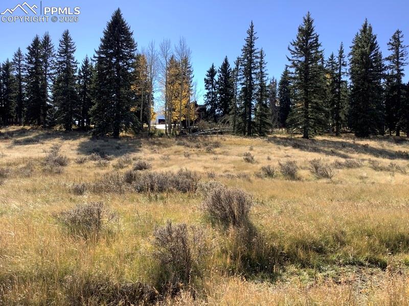 199 Joshua Road Divide CO 80814
