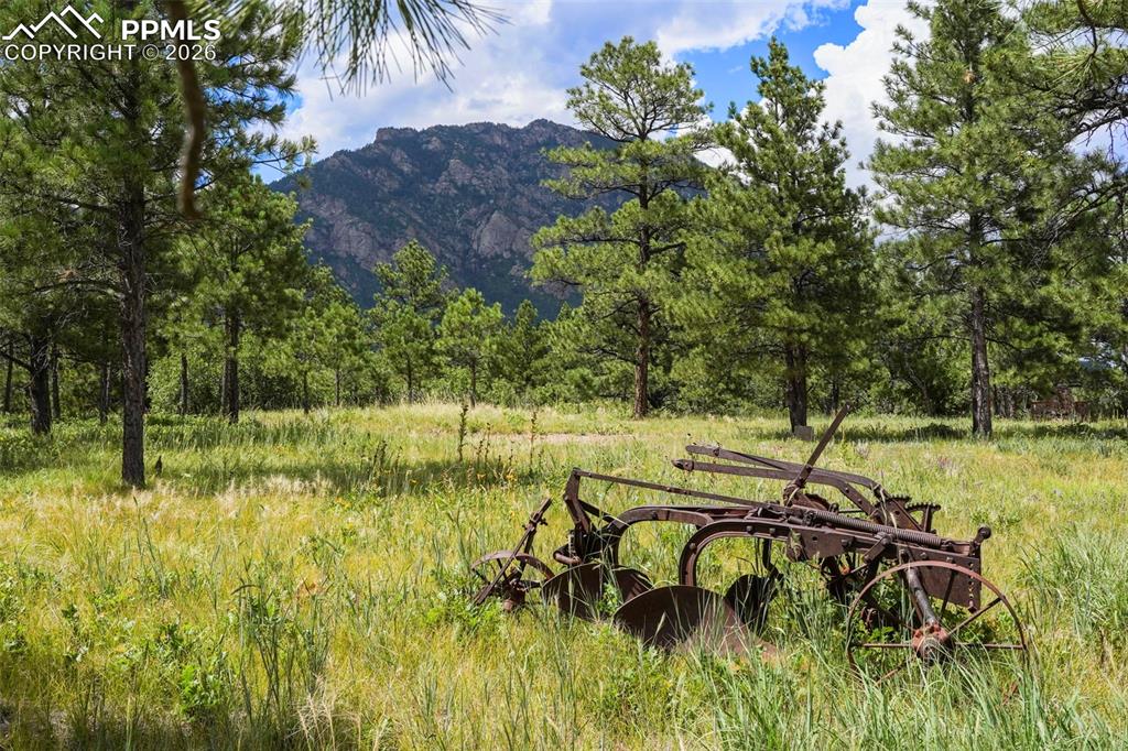 325 Pine Oaks Road Colorado Springs CO 80926