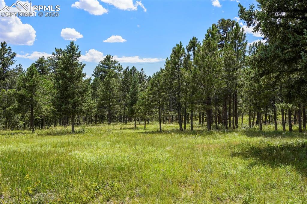 325 Pine Oaks Road Colorado Springs CO 80926