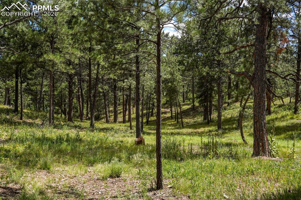 325 Pine Oaks Road Colorado Springs CO 80926
