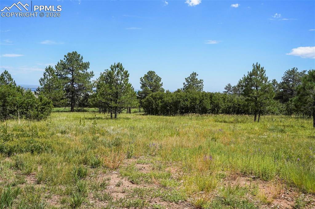 325 Pine Oaks Road Colorado Springs CO 80926