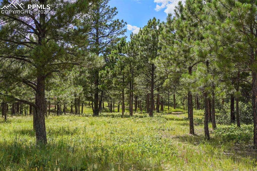 325 Pine Oaks Road Colorado Springs CO 80926