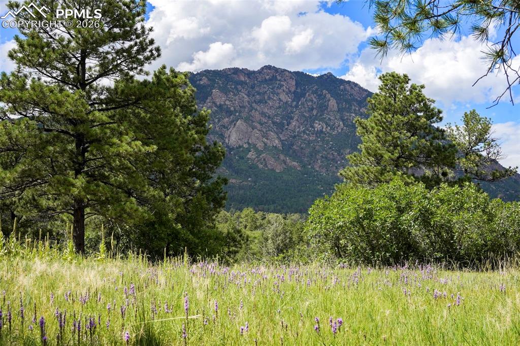 325 Pine Oaks Road Colorado Springs CO 80926