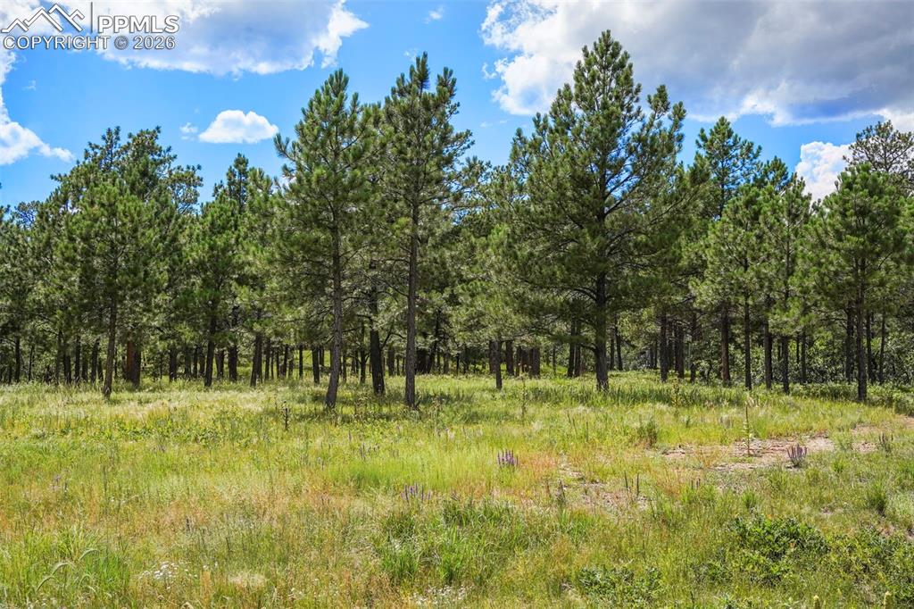 325 Pine Oaks Road Colorado Springs CO 80926