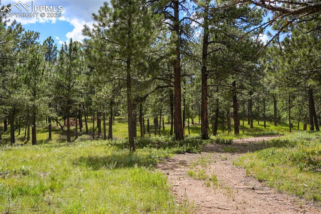 325 Pine Oaks Road Colorado Springs CO 80926