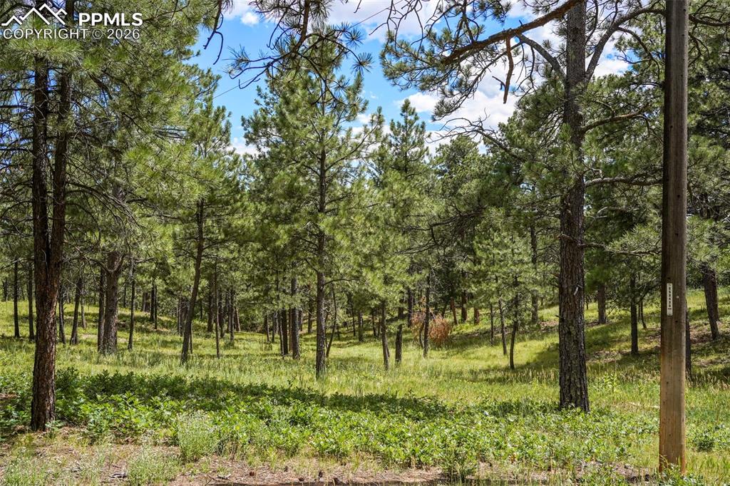 325 Pine Oaks Road Colorado Springs CO 80926