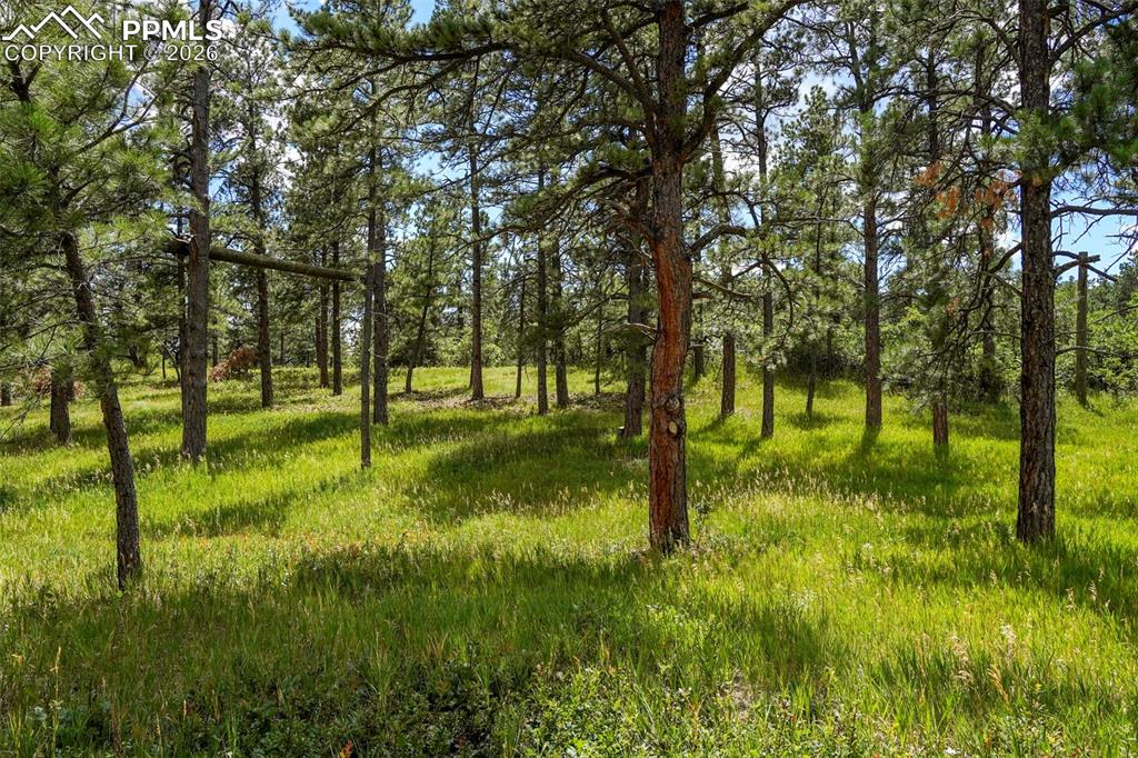 325 Pine Oaks Road Colorado Springs CO 80926