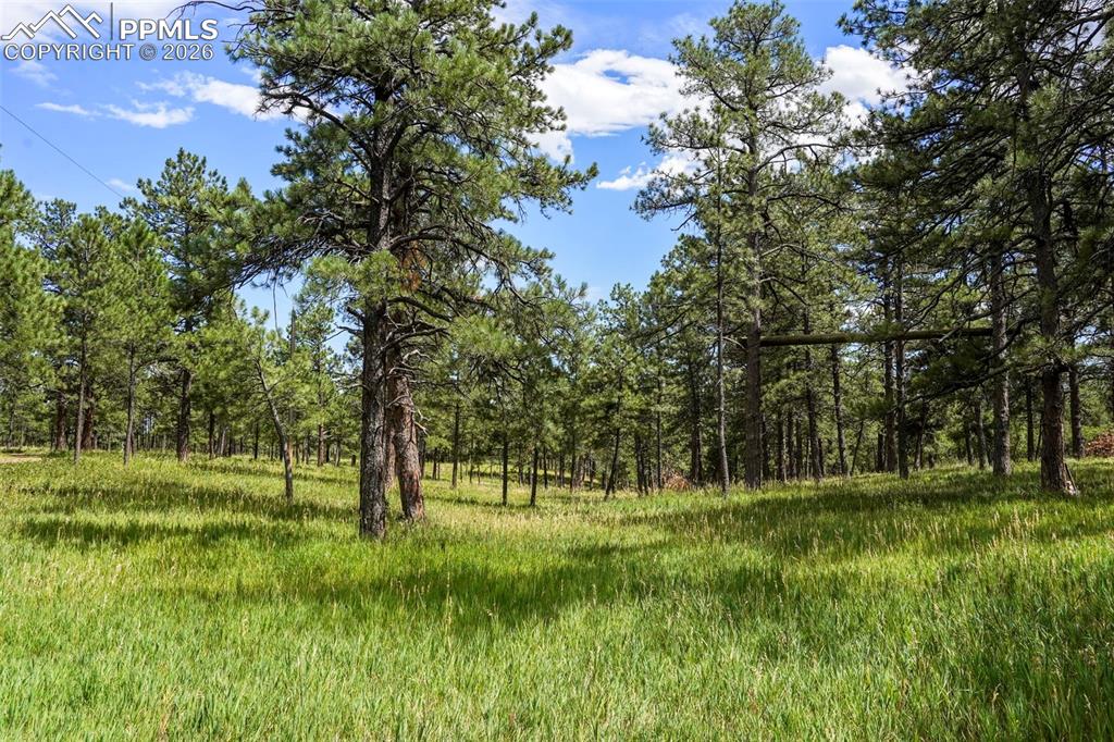 325 Pine Oaks Road Colorado Springs CO 80926