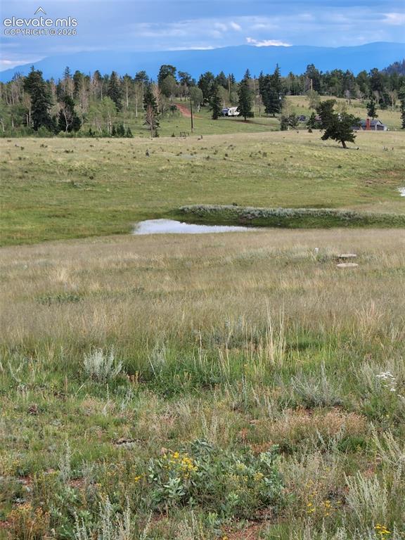 3243 County Road 86 Victor CO 80860