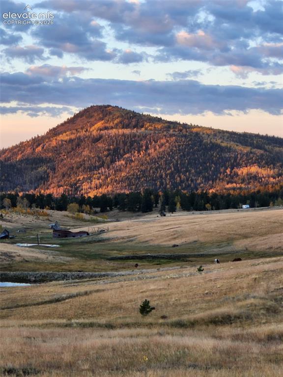 3243 County Road 86 Victor CO 80860