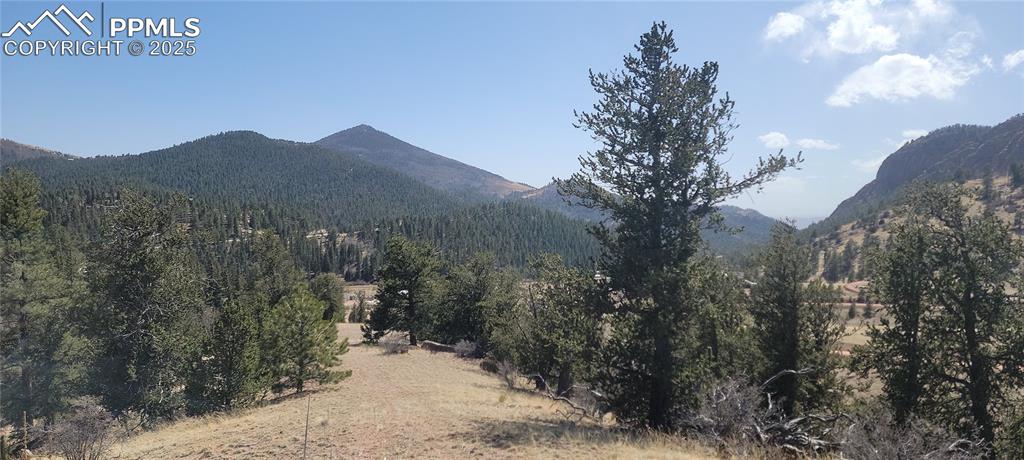 191 Portland Drive Cripple Creek CO 80813