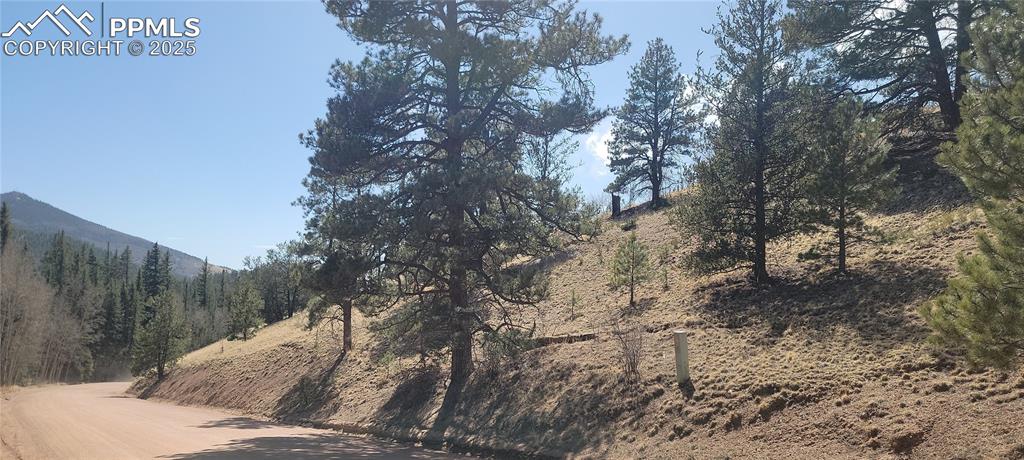 191 Portland Drive Cripple Creek CO 80813