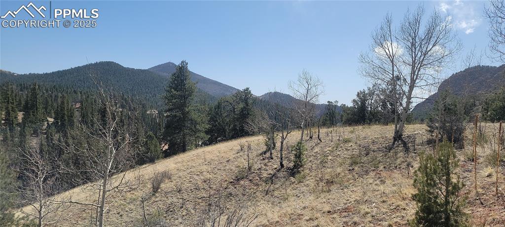 191 Portland Drive Cripple Creek CO 80813