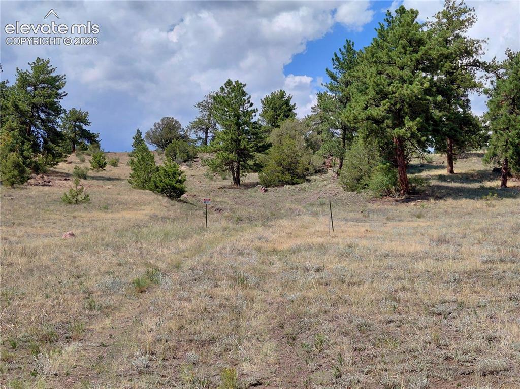 Tract 70 Owls Nest Road Guffey CO 80820