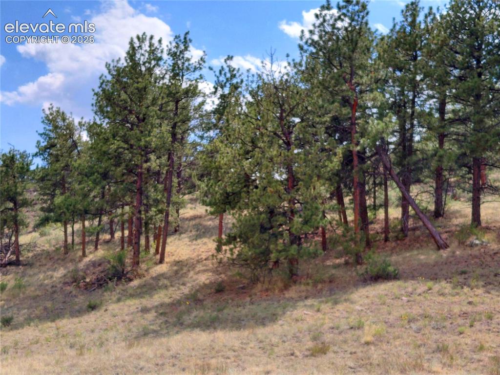 Tract 70 Owls Nest Road Guffey CO 80820