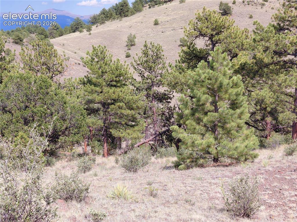 Tract 70 Owls Nest Road Guffey CO 80820