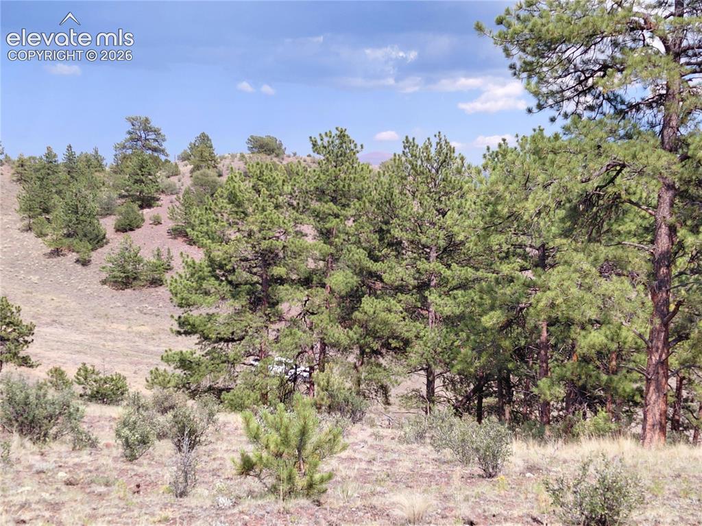 Tract 70 Owls Nest Road Guffey CO 80820