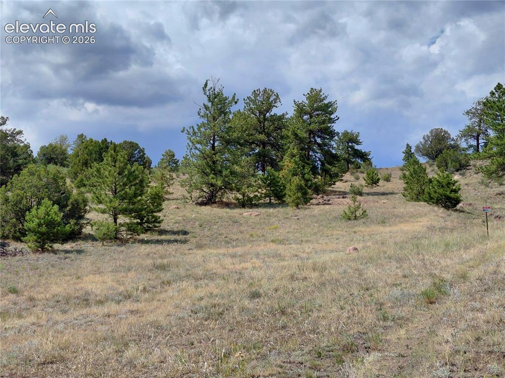 Tract 70 Owls Nest Road Guffey CO 80820