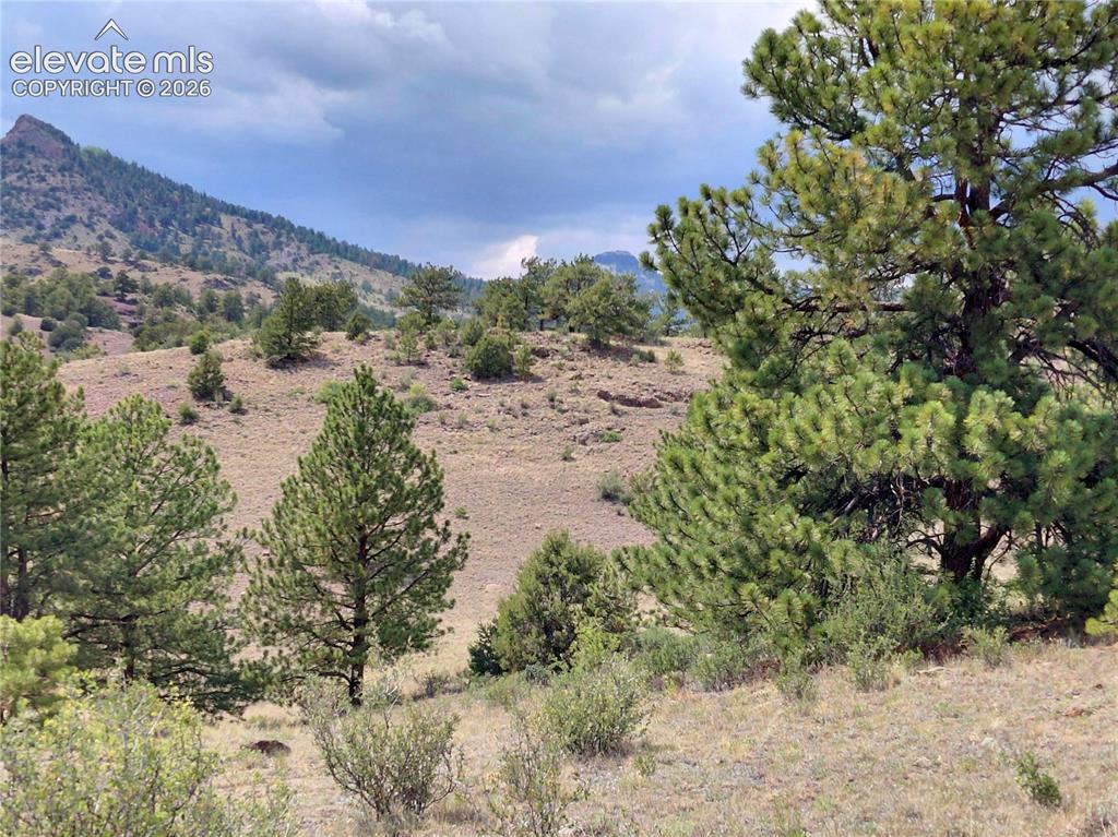 Tract 70 Owls Nest Road Guffey CO 80820