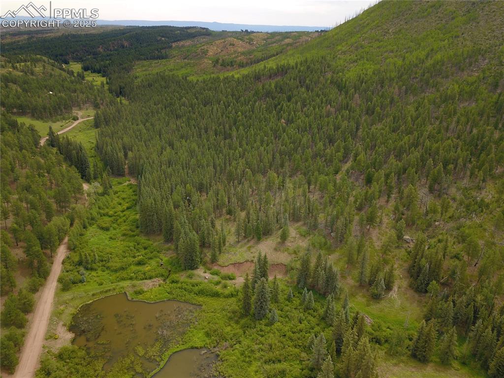 10223 Trail Creek Road Florissant CO 80816