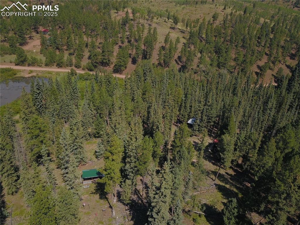 10223 Trail Creek Road Florissant CO 80816