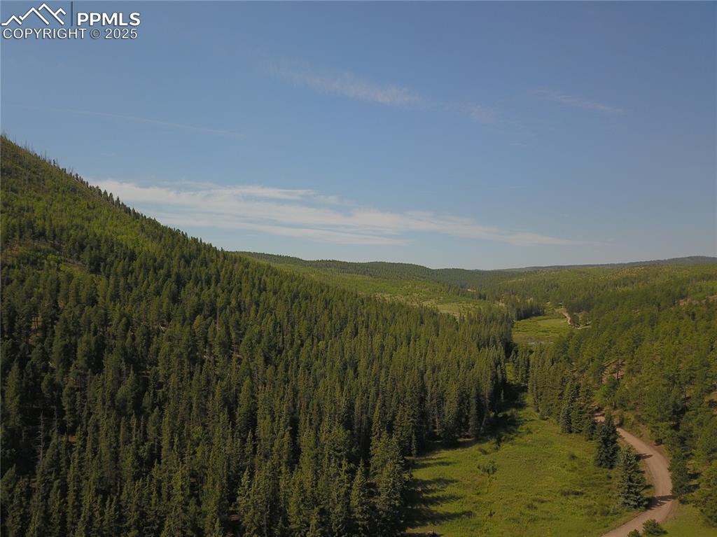 10223 Trail Creek Road Florissant CO 80816