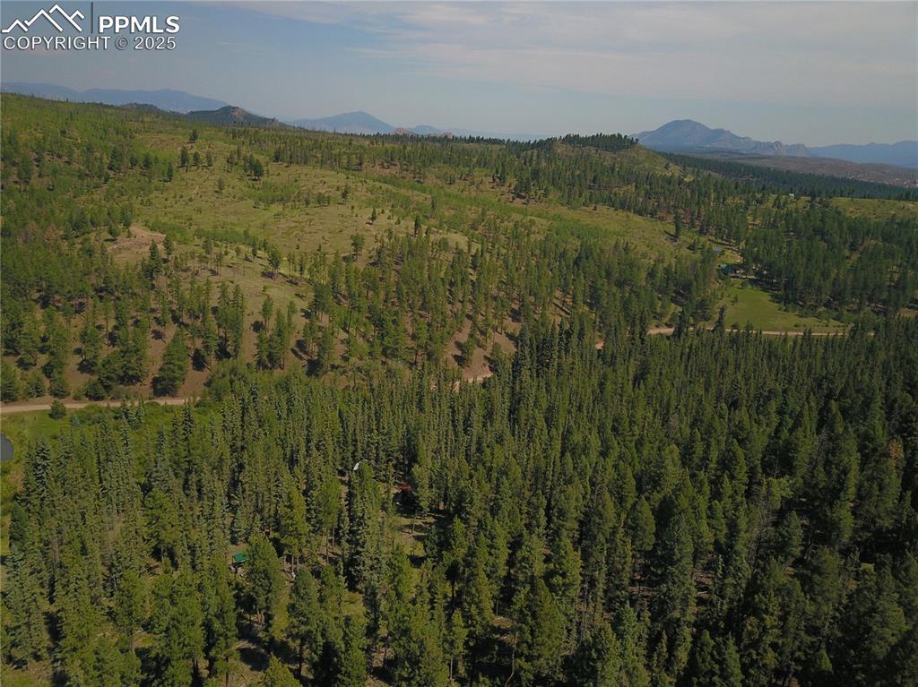 10223 Trail Creek Road Florissant CO 80816