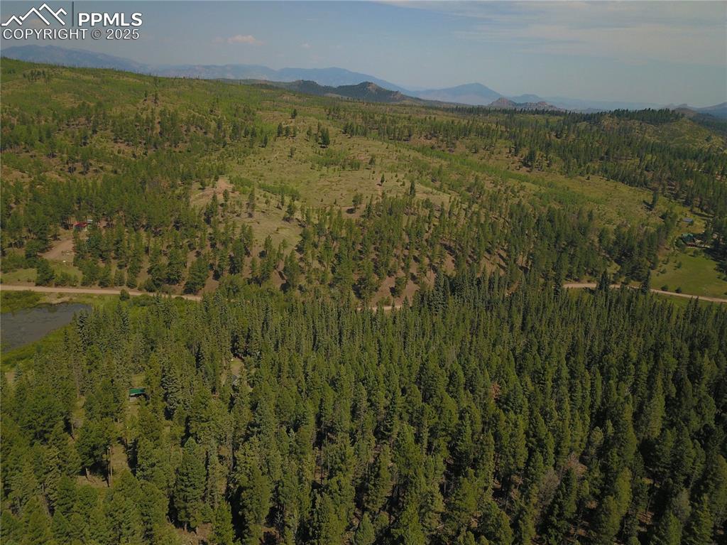 10223 Trail Creek Road Florissant CO 80816