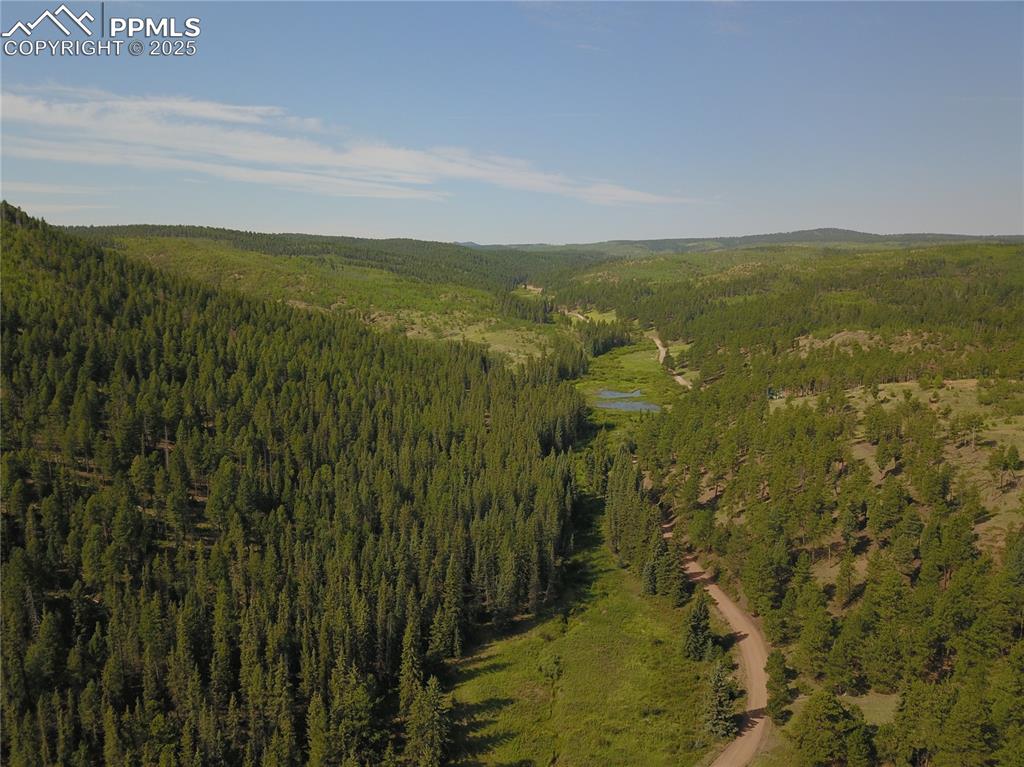 10223 Trail Creek Road Florissant CO 80816